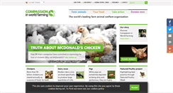 Desktop Screenshot of ciwf.com